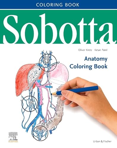 Sobotta Anatomy Coloring Book ENGLISCH/LATEIN (VORKLINIK - Lehrbuch - Urban & Fischer-Verlag) von Urban & Fischer