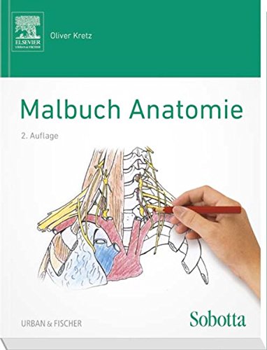 Sobotta Malbuch Anatomie