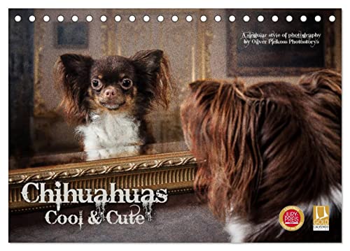 Chihuahuas - Cool and Cute (Tischkalender 2024 DIN A5 quer), CALVENDO Monatskalender