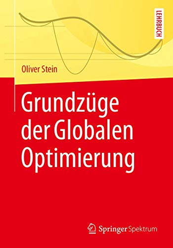 Grundzüge der Globalen Optimierung: Lehrbuch