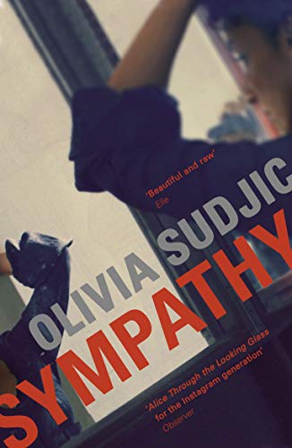 Sympathy von Pushkin Press