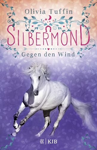 Silbermond: Gegen den Wind von FISCHERVERLAGE