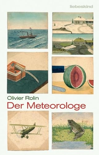 Der Meteorologe: Roman von Liebeskind