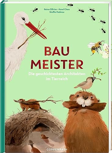 Baumeister: Die geschicktesten Architekten im Tierreich Baumeister: Die geschicktesten Architekten im Tierreich