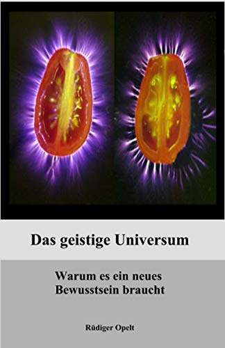 Das geistige Universum: Warum es ein neues Bewusstsein braucht