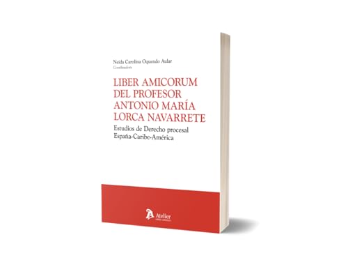 Liber amicorum del profesor Antonio María Lorca Navarrete Liber amicorum del profesor Antonio María Lorca Navarrete von Atelier Libros S.A.