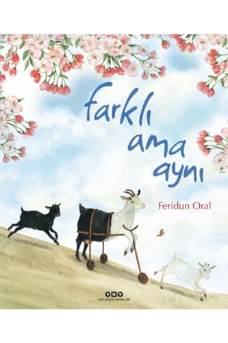 Farkli Ama Ayni