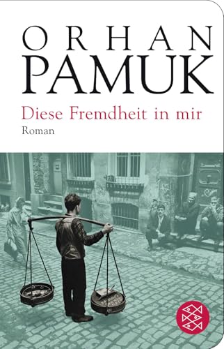 Diese Fremdheit in mir: Roman