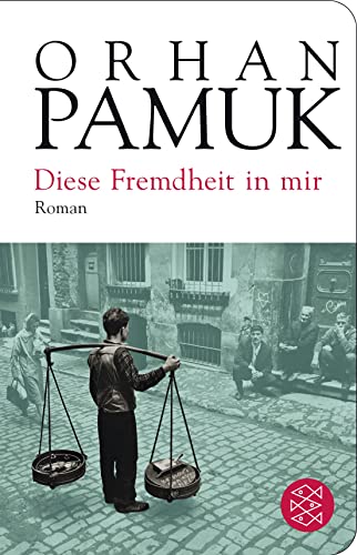 Diese Fremdheit in mir: Roman