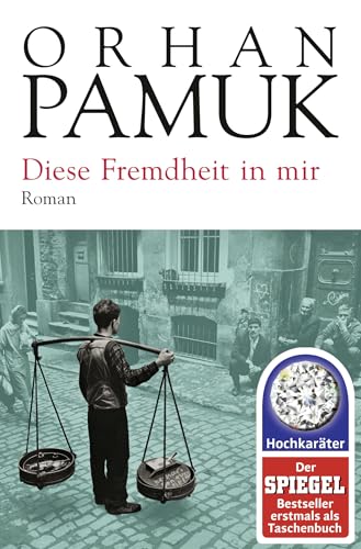 Diese Fremdheit in mir: Roman