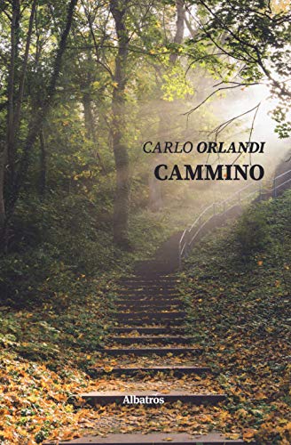Cammino (Nuove voci. Strade) von Gruppo Albatros Il Filo