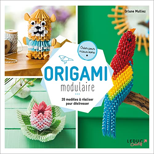Origami modulaire : 20 modèles à réaliser pour déstresser - Créer pour mieux vivre