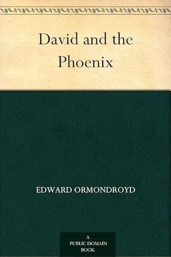 David and the Phoenix von Anson Street Press