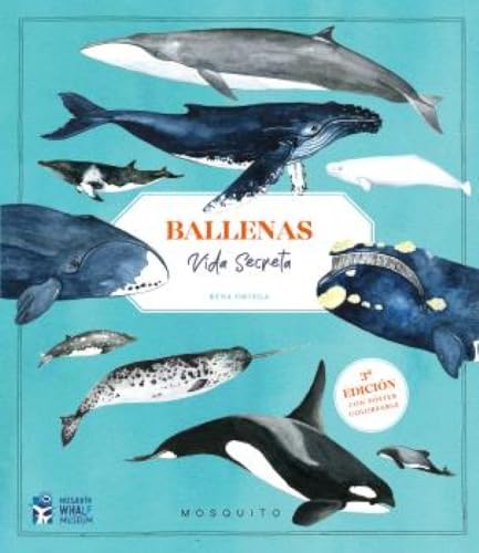 Ballenas. Vida secreta (3ª edición con póster coloreable) von Mosquito Books Barcelona