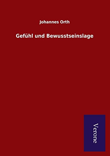 Gefühl und Bewusstseinslage Gefühl und Bewusstseinslage von Salzwasser-Verlag Gmbh
