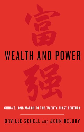 Wealth and Power: China's Long March to the Twenty-first Century von Abacus