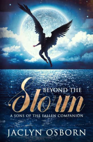 Beyond the Storm: A Sons of the Fallen Companion von Independently published