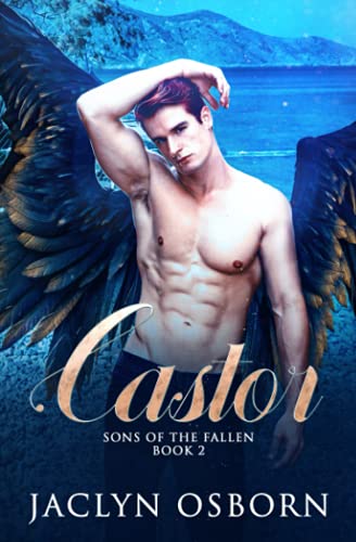 Castor (Sons of the Fallen, Band 2) von Independently published