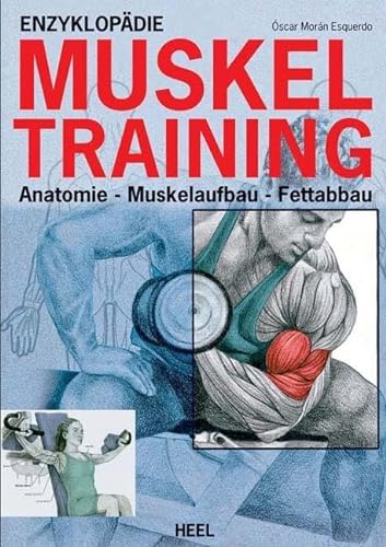 Enzyklopädie Muskeltraining: Anatomie - Muskelaufbau - Fettabbau von Heel Verlag GmbH