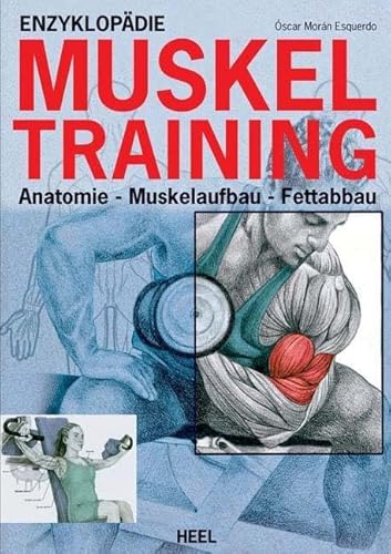 Enzyklopädie Muskeltraining: Anatomie - Muskelaufbau - Fettabbau