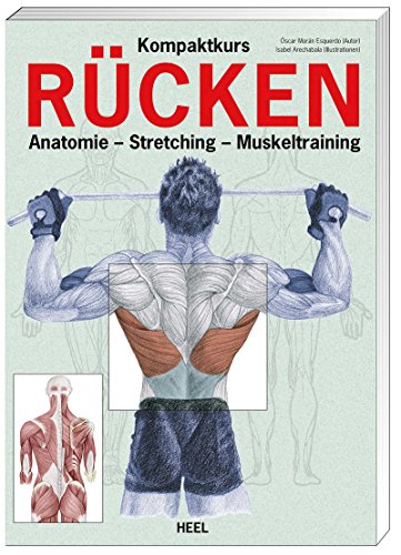 Kompaktkurs Rücken: Anatomie - Stretching - Muskeltraining