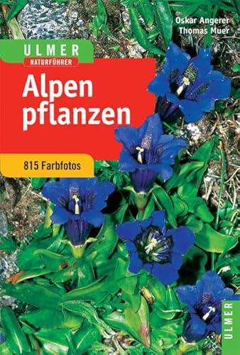 Ulmer Naturführer Alpenpflanzen