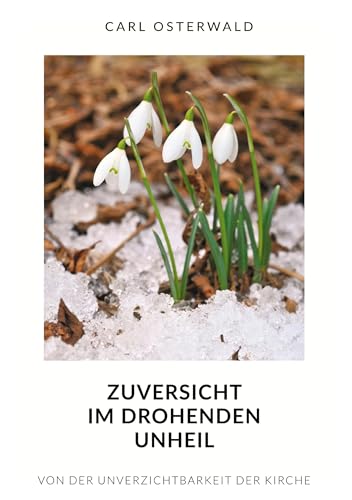 Zuversicht im drohenden Unheil: Von der Unverzichtbarkeit der Kirche von Book on Demand