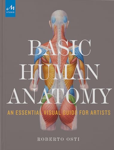 Basic Human Anatomy: An Essential Visual Guide for Artists von Monacelli Studio