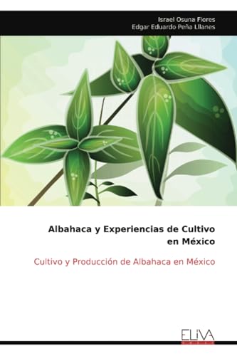 Albahaca y Experiencias de Cultivo en México: Cultivo y Producción de Albahaca en México