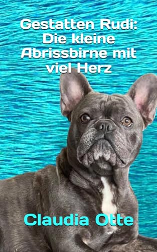 Gestatten Rudi: Die kleine Abrissbirne mit viel Herz von Independently published