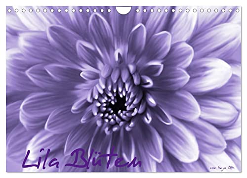 Lila Blüten (Wandkalender 2024 DIN A4 quer), CALVENDO Monatskalender von CALVENDO