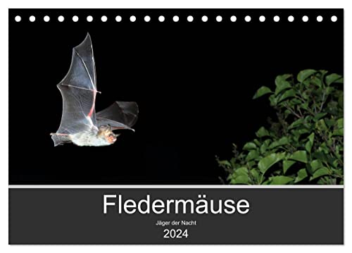 Fledermäuse - Jäger der Nacht (Tischkalender 2024 DIN A5 quer), CALVENDO Monatskalender von CALVENDO