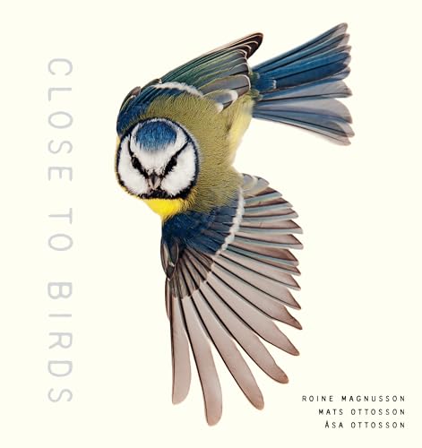 Close to Birds: An Intimate Look at Our Feathered Friends von Roost Books