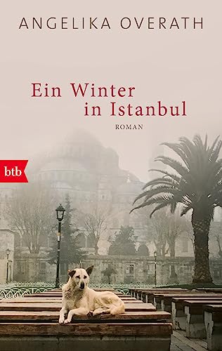 Ein Winter in Istanbul: Roman von btb