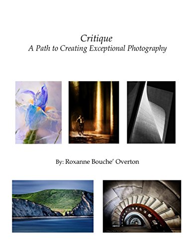 Critique - A Path To Creating Exceptional Photography