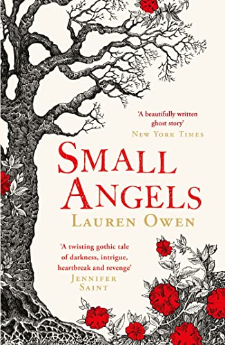 Small Angels: 'A twisting gothic tale of darkness, intrigue, heartbreak and revenge' Jennifer Saint von Tinder Press