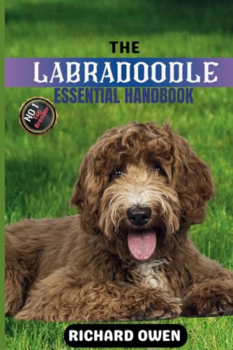THE LABRADOODLE ESSENTIAL HANDBOOK: The Ultimate Guide To Owning, Raising, Grooming, Caring and Training a Healthy Labradoodle (Puppy to Old-Age) (Essential Dog Care Handbooks (Puppy To Old Age)) von Independently published