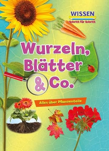 Wurzeln, Blätter & Co.: Wissen - Schritt für Schritt (CORONA Sachbücher)