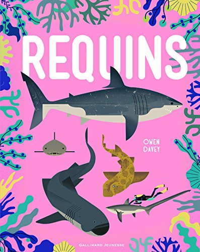 Requins von Gallimard jeunesse