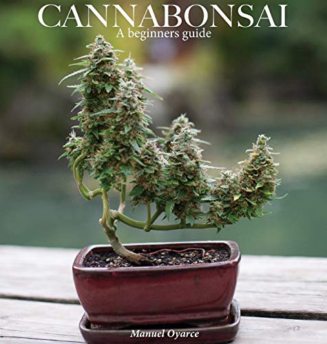 Cannabonsai: : A Beginners Guide von Lulu