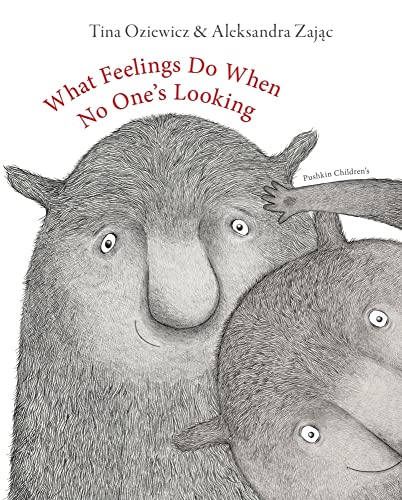 What Feelings Do When No One's Looking von Pushkin Press