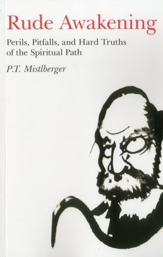 Rude Awakening: Perils, Pitfalls, and Hard Truths of the Spiritual Path von John Hunt Publishing