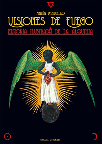 VISIONES DE FUEGO: HISTORIA ILUSTRADA DE LA ALQUIMIA (ZODIACO NEGRO, Band 76)