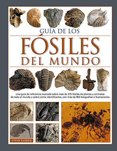 GUIA DE LOS FOSILES DEL MUNDO (GUIAS DEL NATURALISTA, Band 20) von OMEGA
