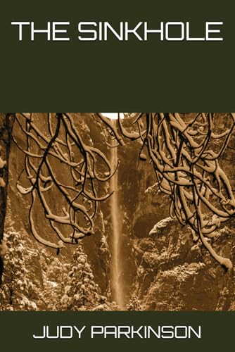 THE SINKHOLE von judy parkinson