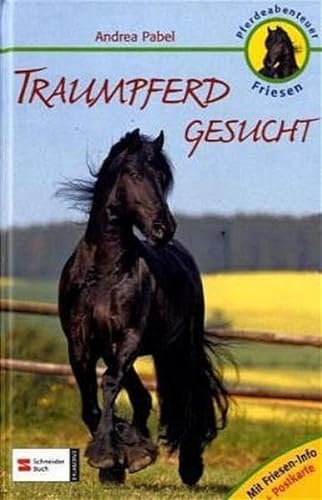Pferdeabenteuer Friesen: Traumpferd gesucht: Mit Friesen-Info u. Postkarte