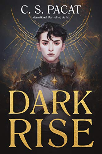 Dark Rise: Indigo Best Book of the Year (Dark Rise, 1, Band 1) von Quill Tree Books