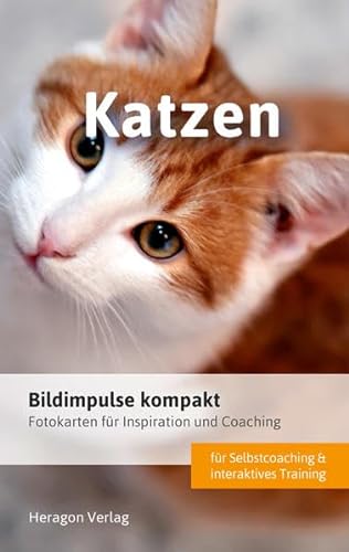 Bildimpulse kompakt: Katzen: Fotokarten für Inspiration und Coaching von Heragon Verlag GmbH