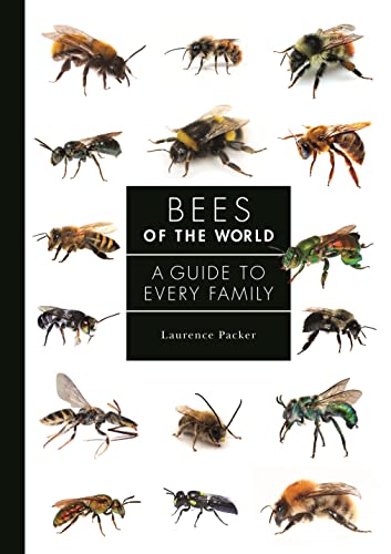 Bees of the World: A Guide to Every Family (Guide to Every Family, 5) von Princeton University Press