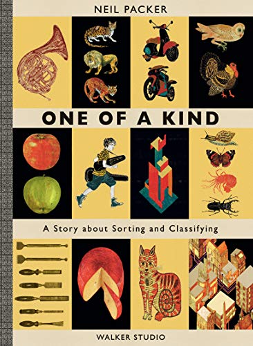 One of a Kind: A Story About Sorting and Classifying (Walker Studio) von Walker Studio